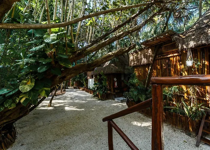 Eco Banitas Tulum