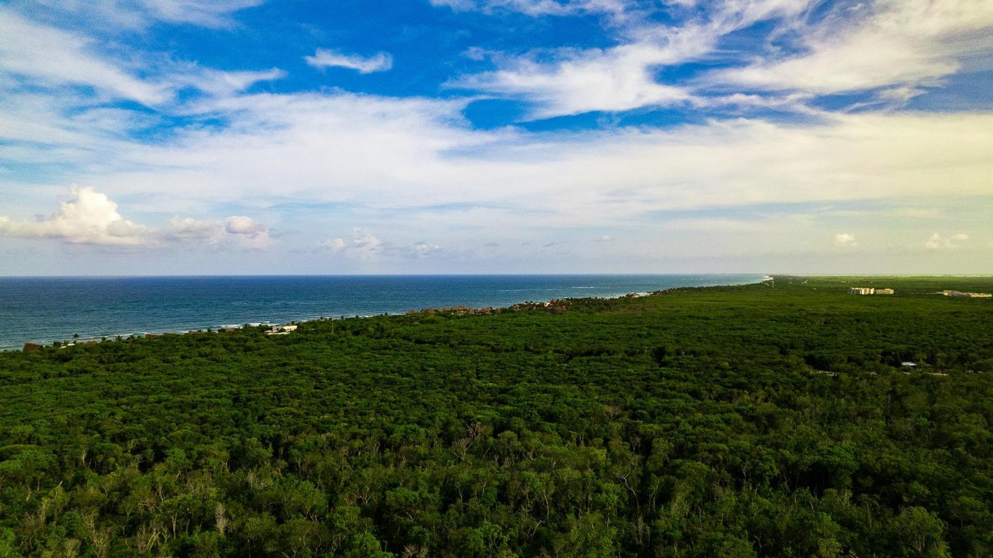 Eco Banitas Tulum