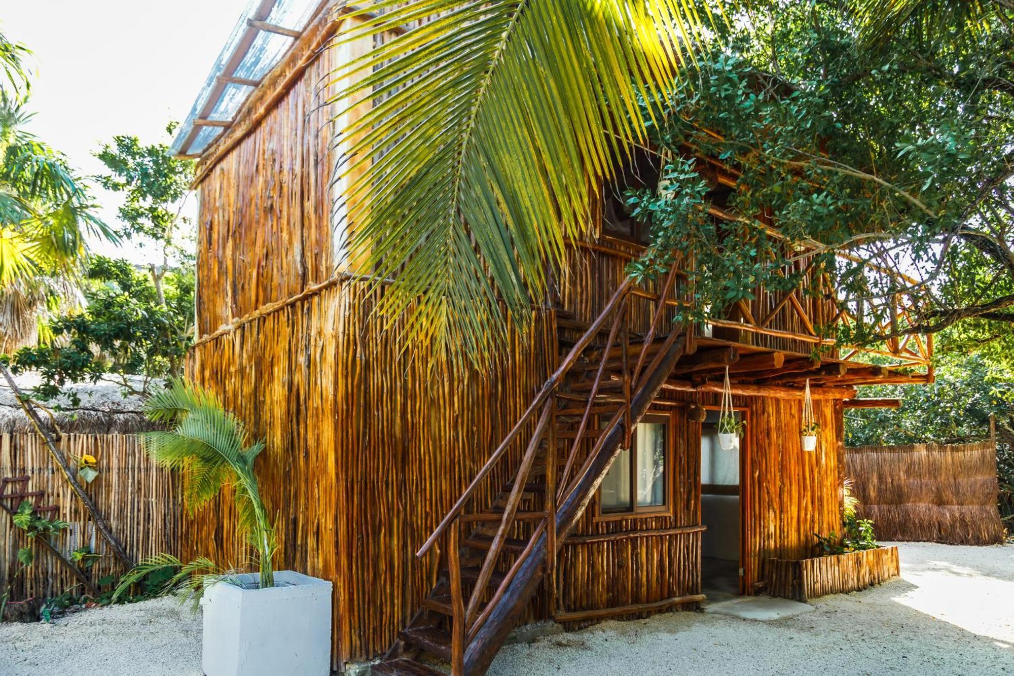 Eco Banitas