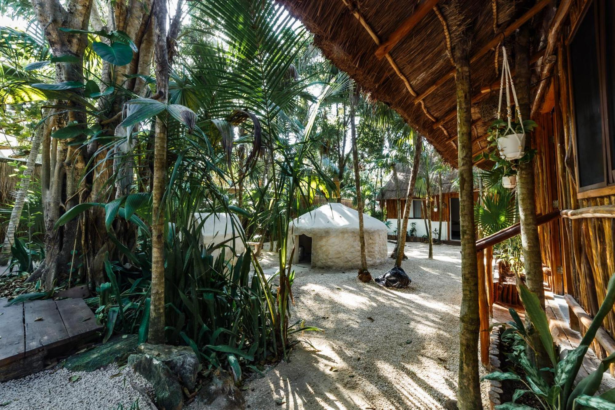Hotel Eco Banitas *