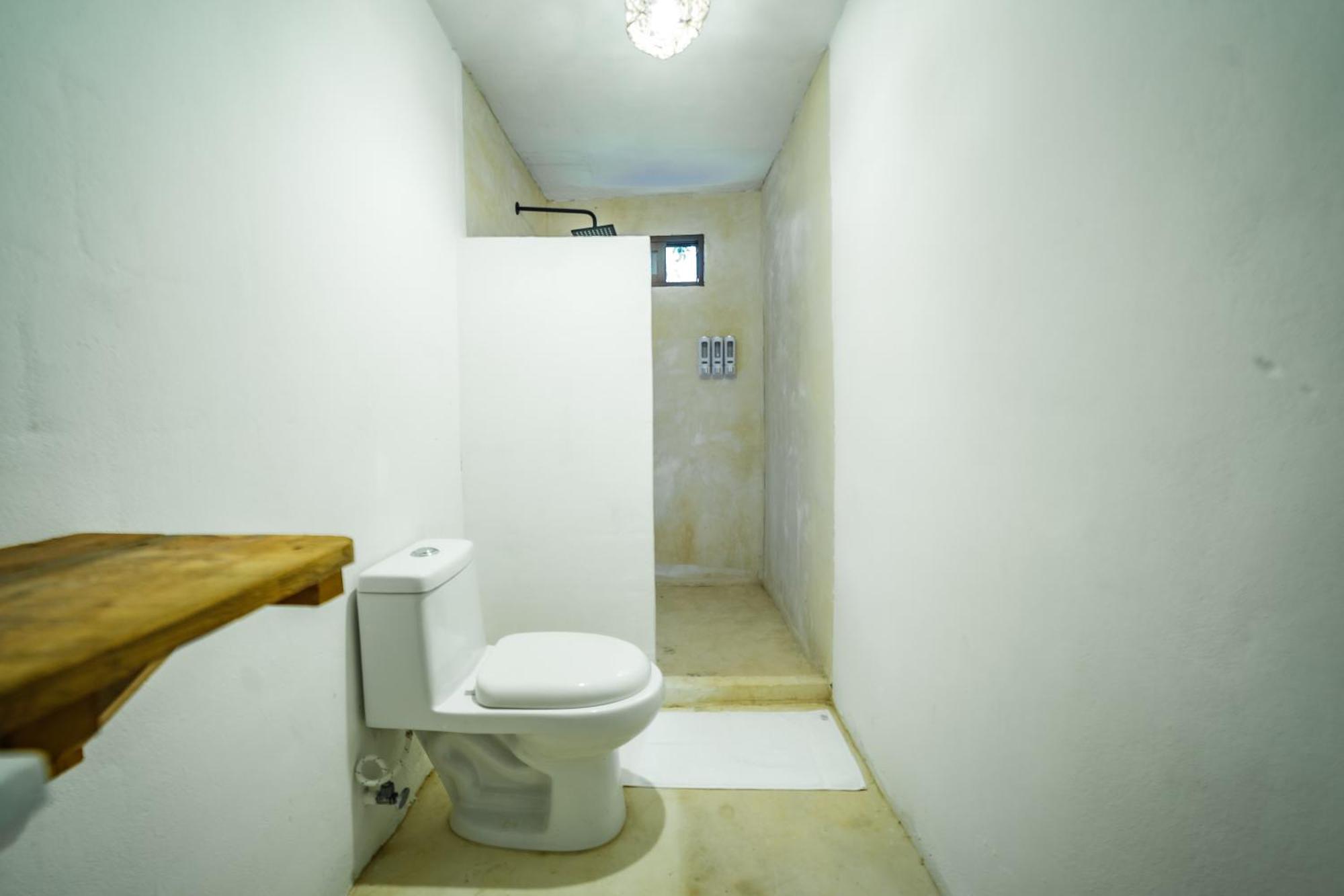 Eco Banitas