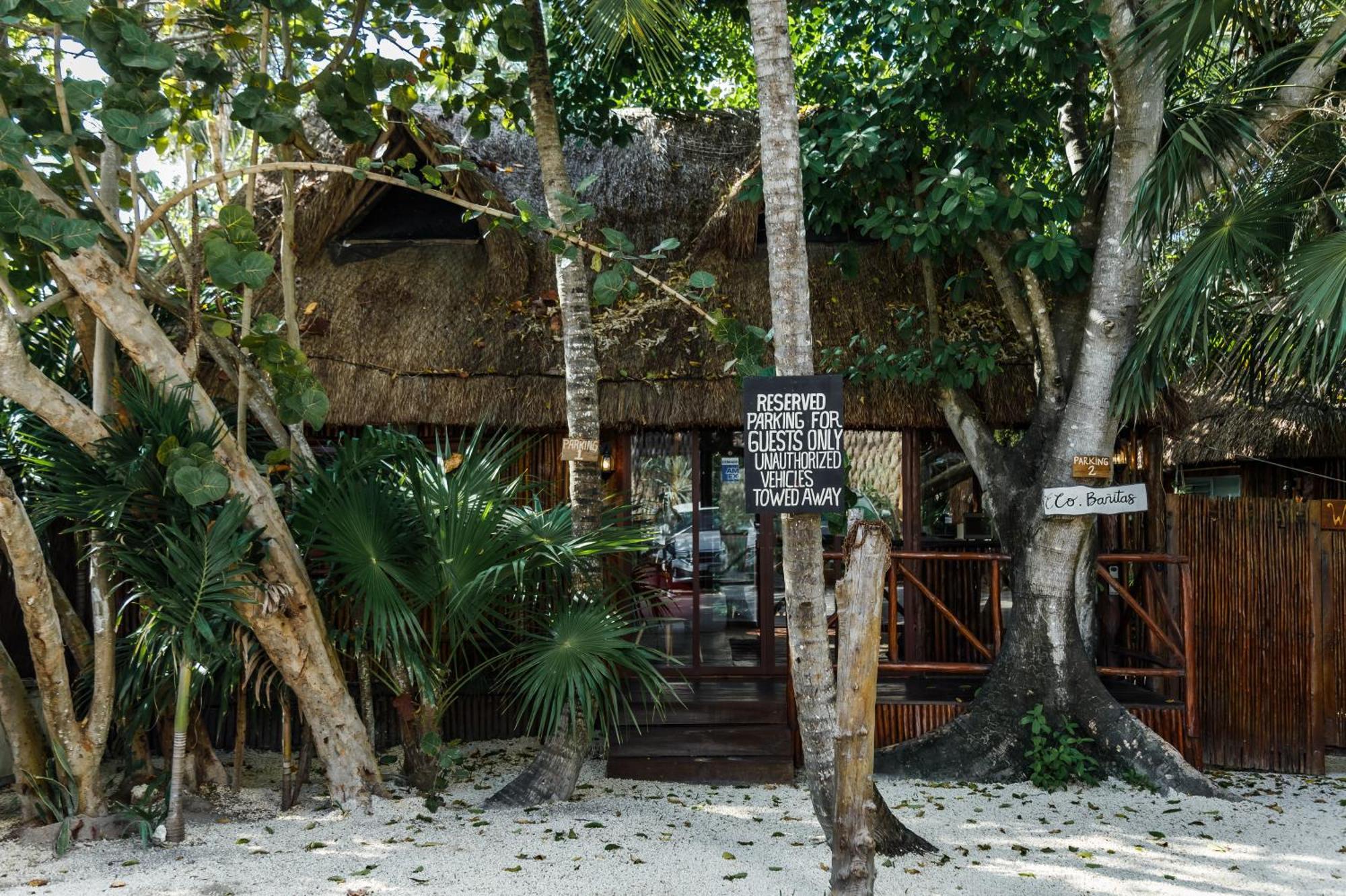 Eco Banitas *