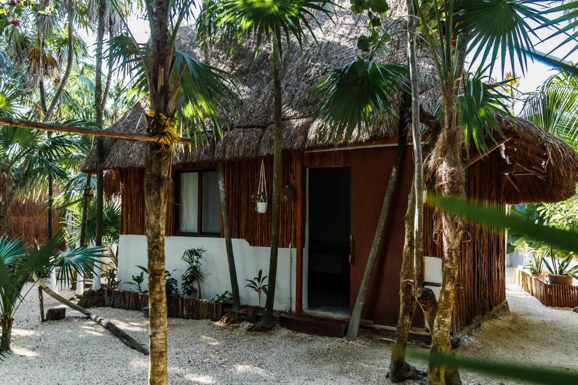 Eco Banitas