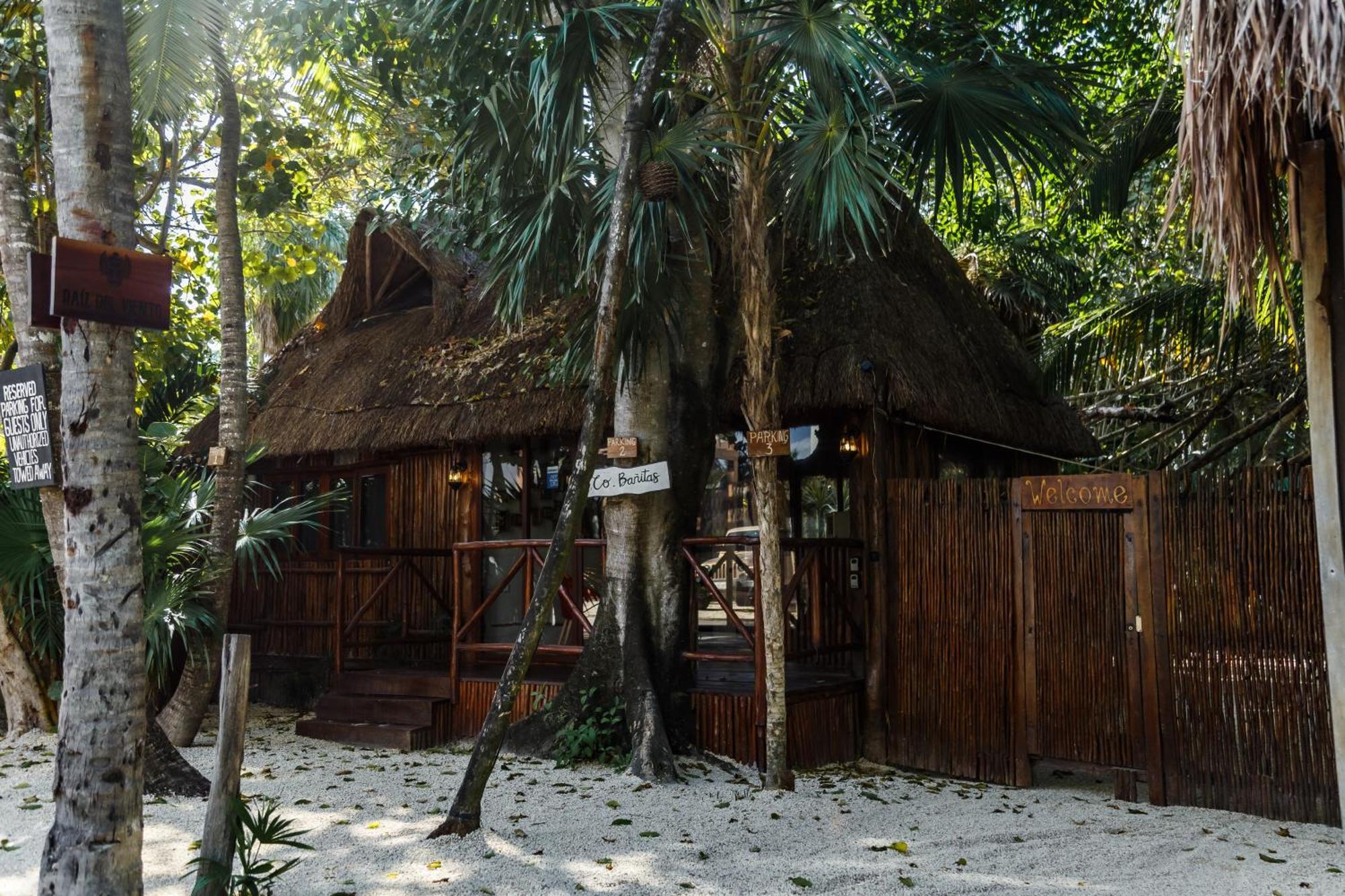 Hotel Eco Banitas