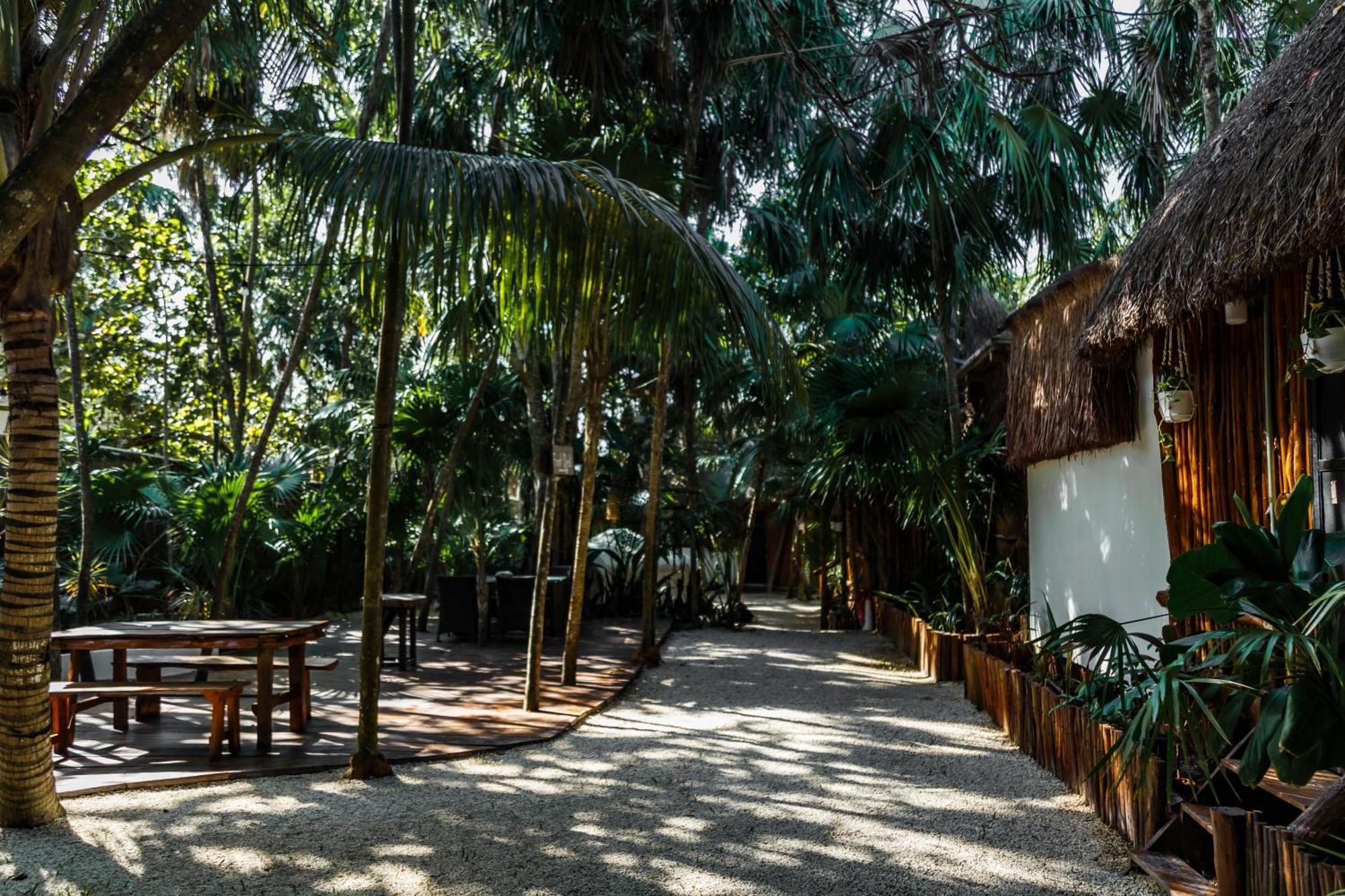 Hotel Eco Banitas *