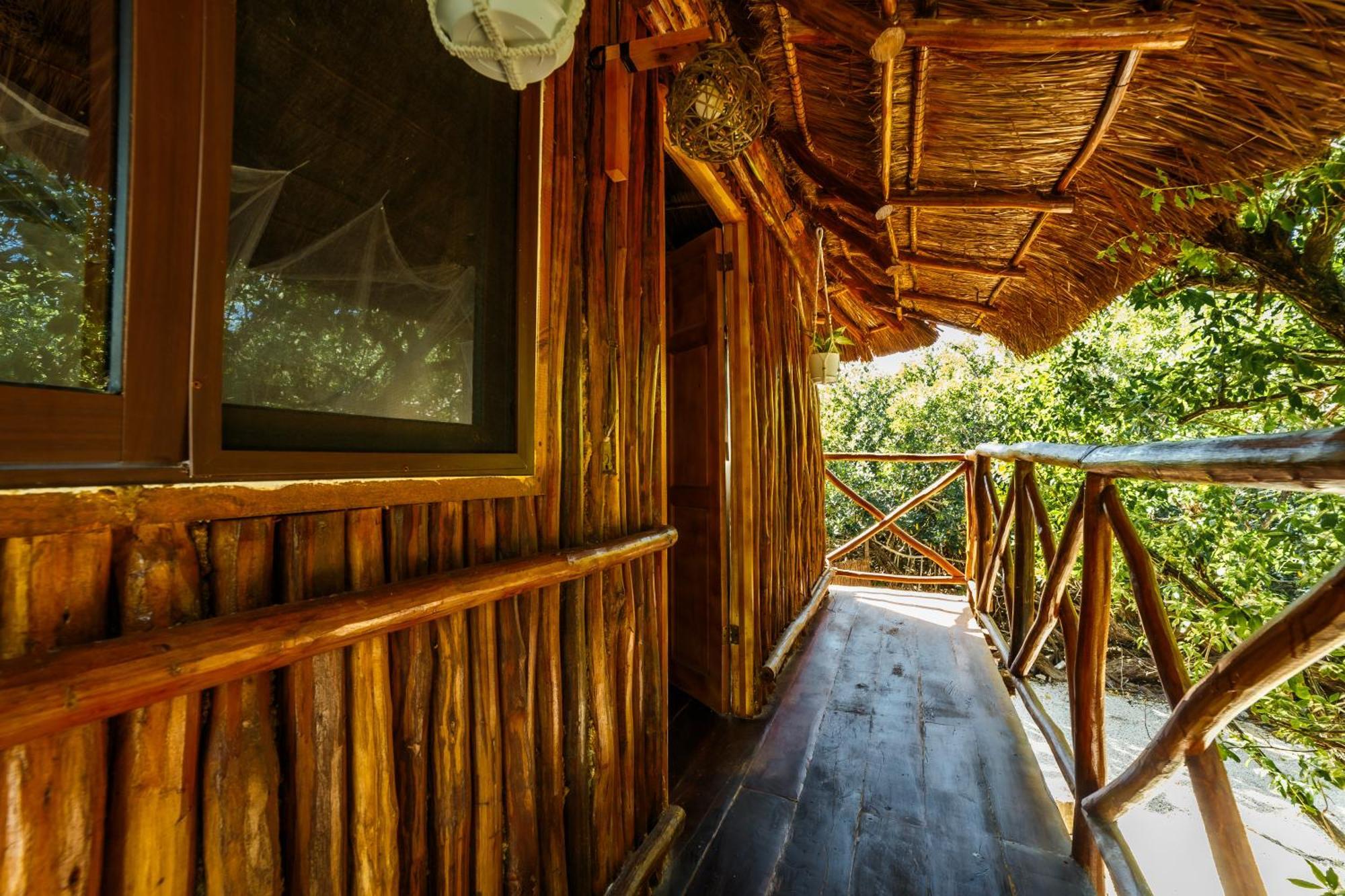 Eco Banitas *