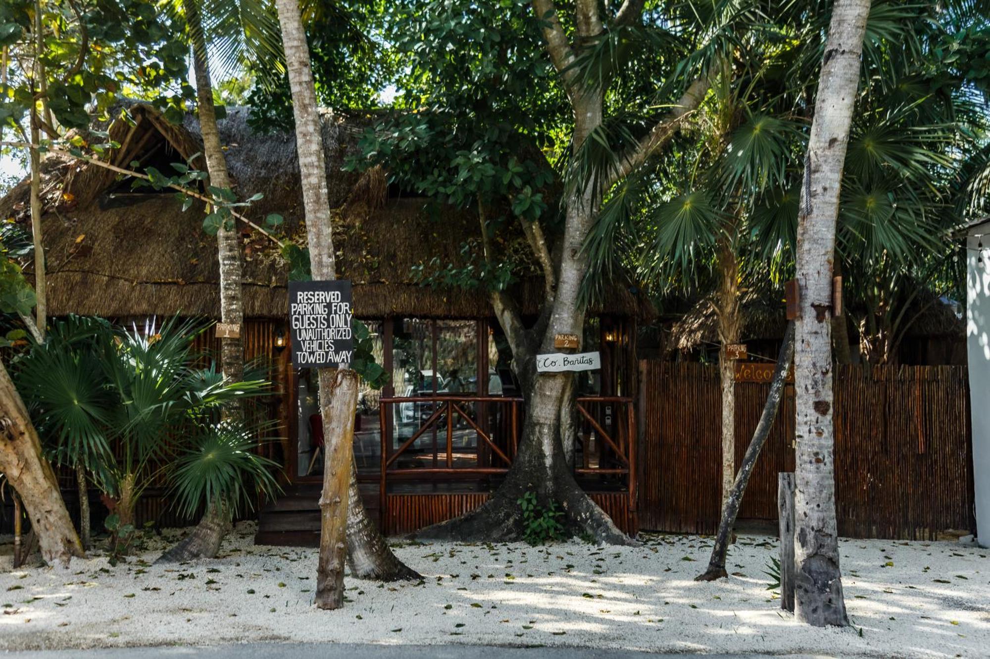 Hotel Eco Banitas