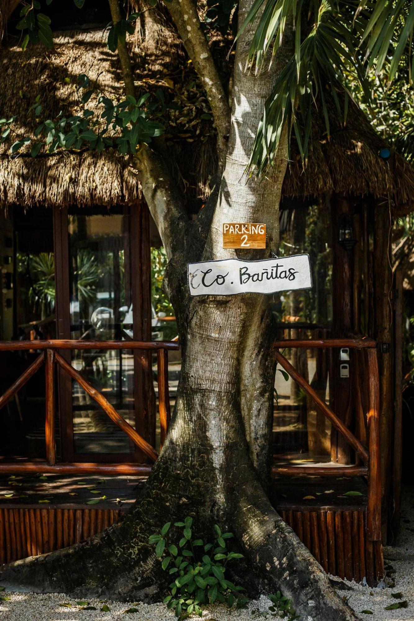 Hotel Eco Banitas