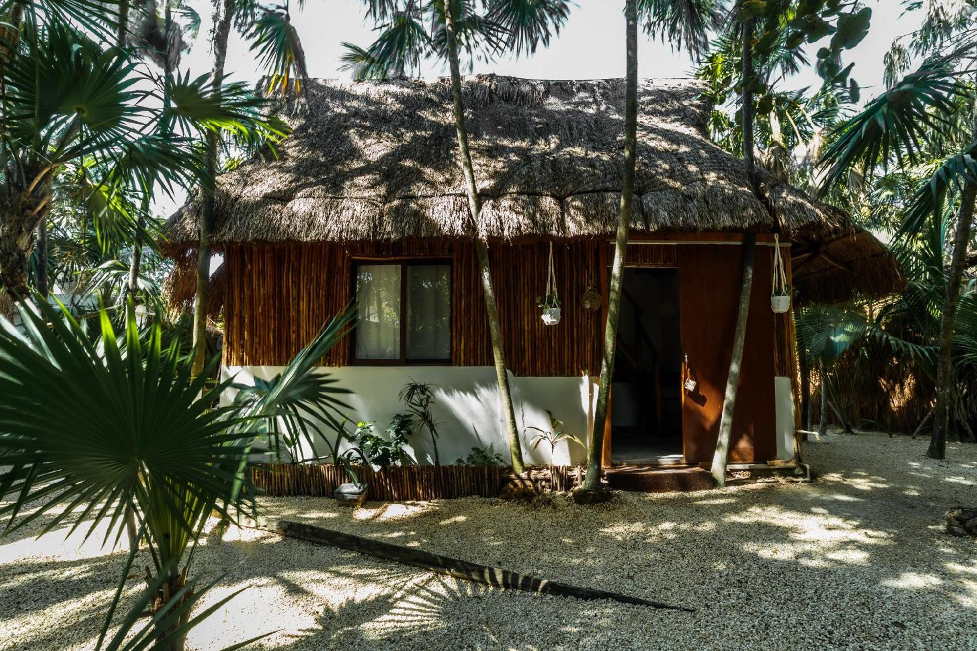 Hotel Eco Banitas